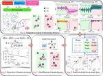 Journal article on multi-scale modeling framework is published in Journal of Chemical Theory and Computation